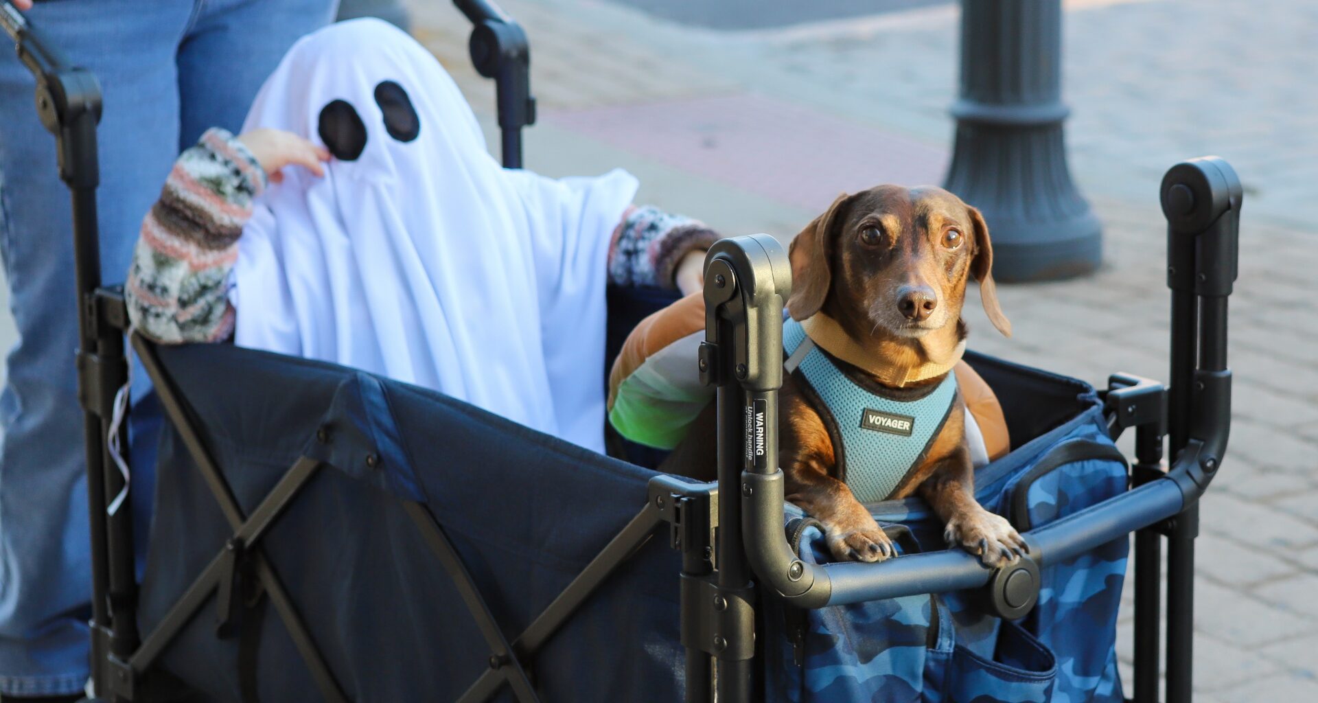 Photo gallery: Trick-or-treat event held on Main Street Pittston
