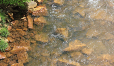How Coal Mining Killed a Pennsylvania River