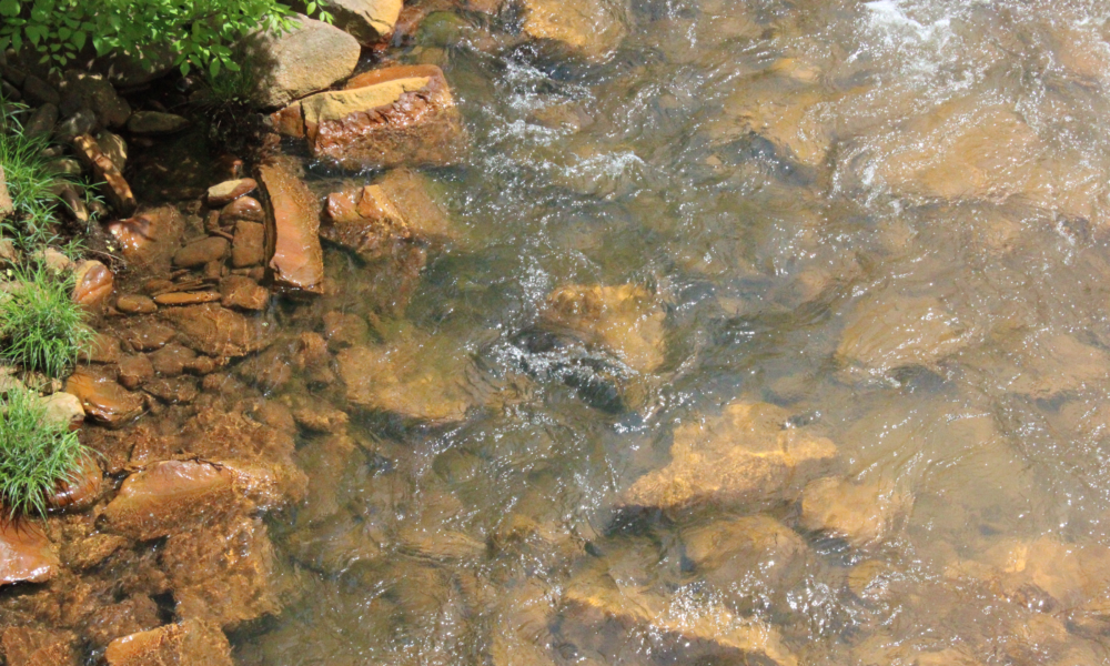 How Coal Mining Killed a Pennsylvania River