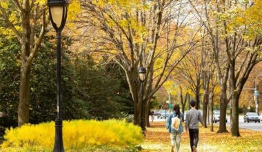 The best time for viewing fall foliage in Philly, the Poconos and South Jersey