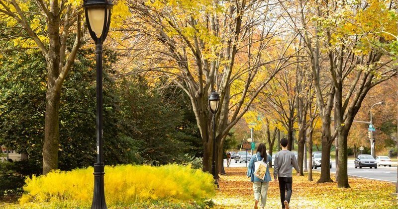 The best time for viewing fall foliage in Philly, the Poconos and South Jersey