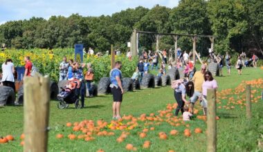 6 local farms for family pumpkin-picking in the Pittsburgh area