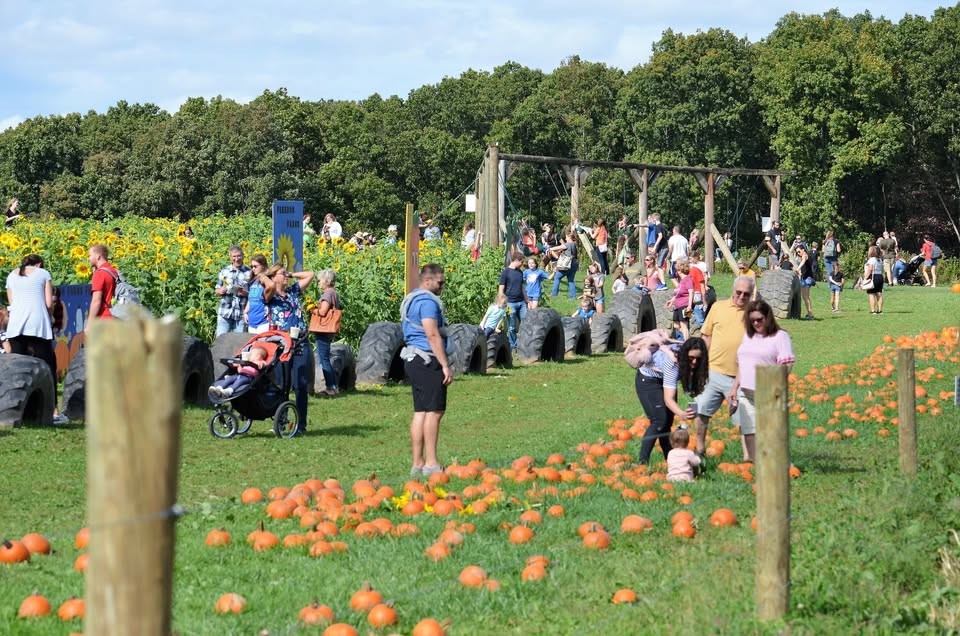 6 local farms for family pumpkin-picking in the Pittsburgh area