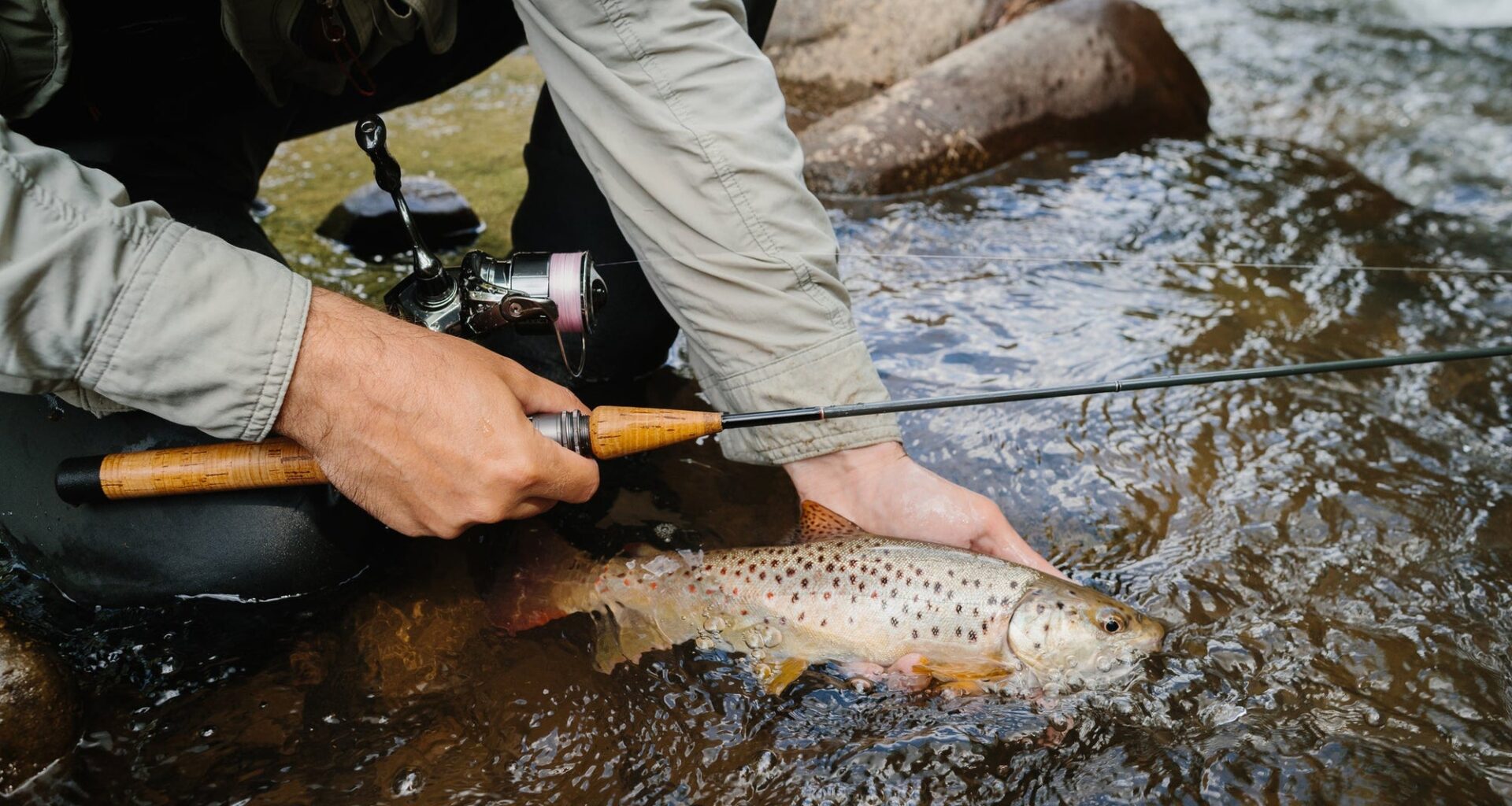 Pennsylvania DEP Posts 'Do Not Eat' Advisory for Fish in Wissahickon Creek Basin