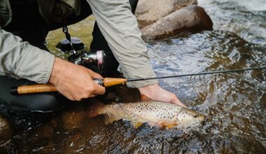 Pennsylvania DEP Posts 'Do Not Eat' Advisory for Fish in Wissahickon Creek Basin