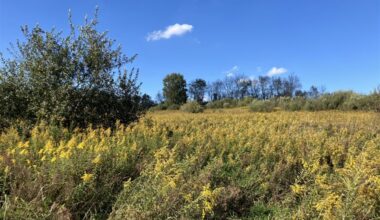 Brandon McGinley: The gift of fall