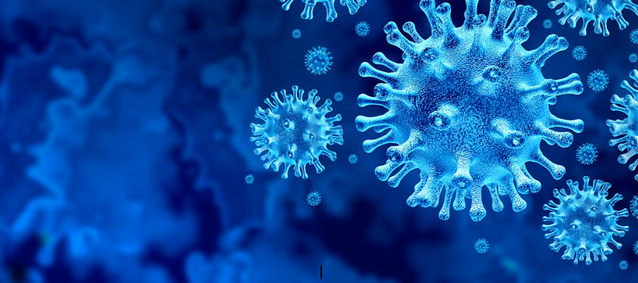 Pennsylvania announces 5th measles-related death as cases approach 1,000