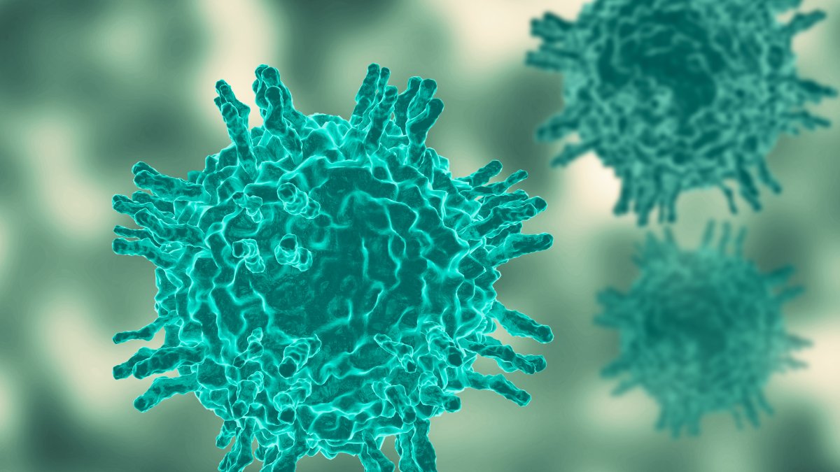 Pennsylvania reports 5th measles-related death in the state – NBC Los Angeles