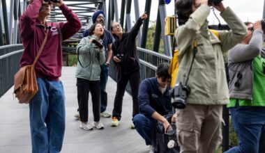 Birding booms in Philly, as GenZ and millennials flock to the pastime