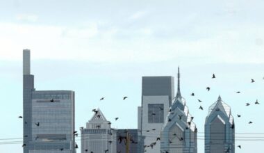 South Philadelphia birds flutter in the foreground. The Center City Philadelphia skyline stands tall in the background in this 2024 photo.