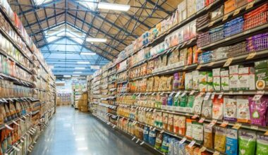 City Council to consider food insecurity office, city-run grocery store