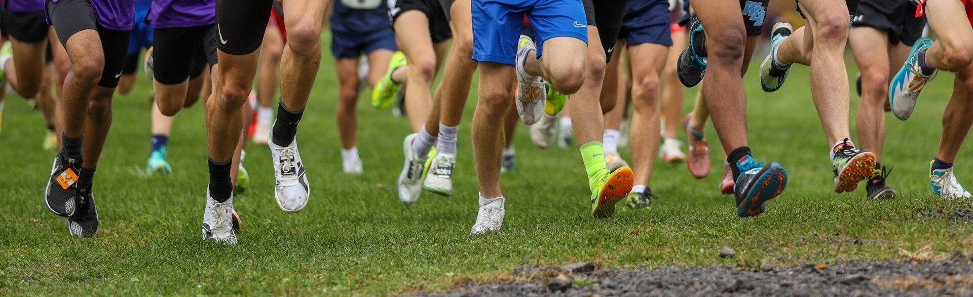 CROSS COUNTRY: Abington Heights girls, Mid Valley boys secure JH titles – Scranton Times-Tribune