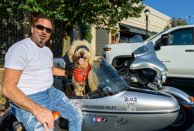 Jim Shelanick and SideCarRiley soak up some sunshine before jumping in the water on Friday, Oct. 16, 2026, during Barktoberfest at Promenade Saucon Valley in in Upper Saucon Township. (April Gamiz/The Morning Call)