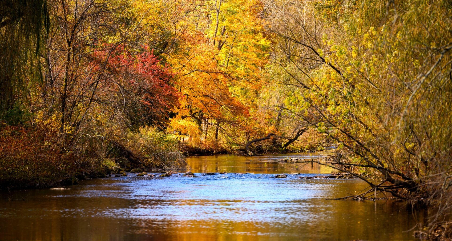 When will fall foliage peak in the Lehigh Valley?