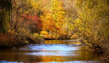 When will fall foliage peak in the Lehigh Valley?