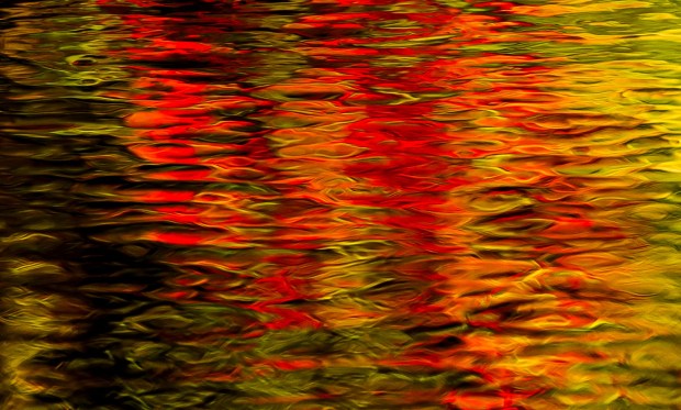 Colorful leaves glow in the autumn sun Thursday, Oct. 15, 2026, reflecting in the Monocacy Creek at Illick's Mill Park in Bethlehem. (April Gamiz/The Morning Call)