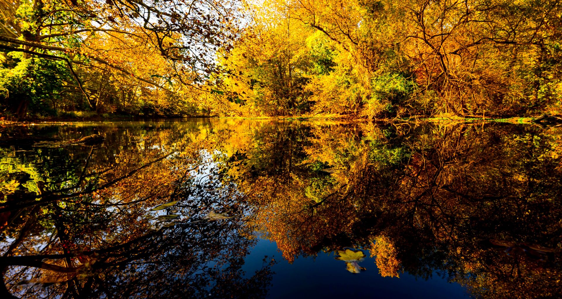 When will Lehigh Valley fall foliage it reach peak?
