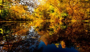 When will Lehigh Valley fall foliage it reach peak?