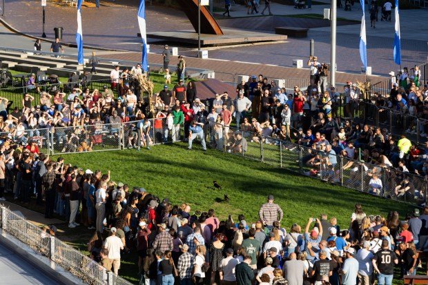 People enjoy the wiener dog races Saturday, Oct. 3, 2026, during Oktoberfest at SteelStacks in Bethlehem. The annual festival continues Oct. 9-11, 2026. (Mackenzie McGovern/Special to The Morning Call)