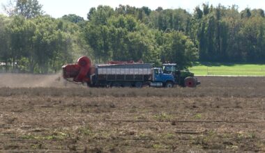 Troyer Farms potatoes prosper on acres intended for industrial park