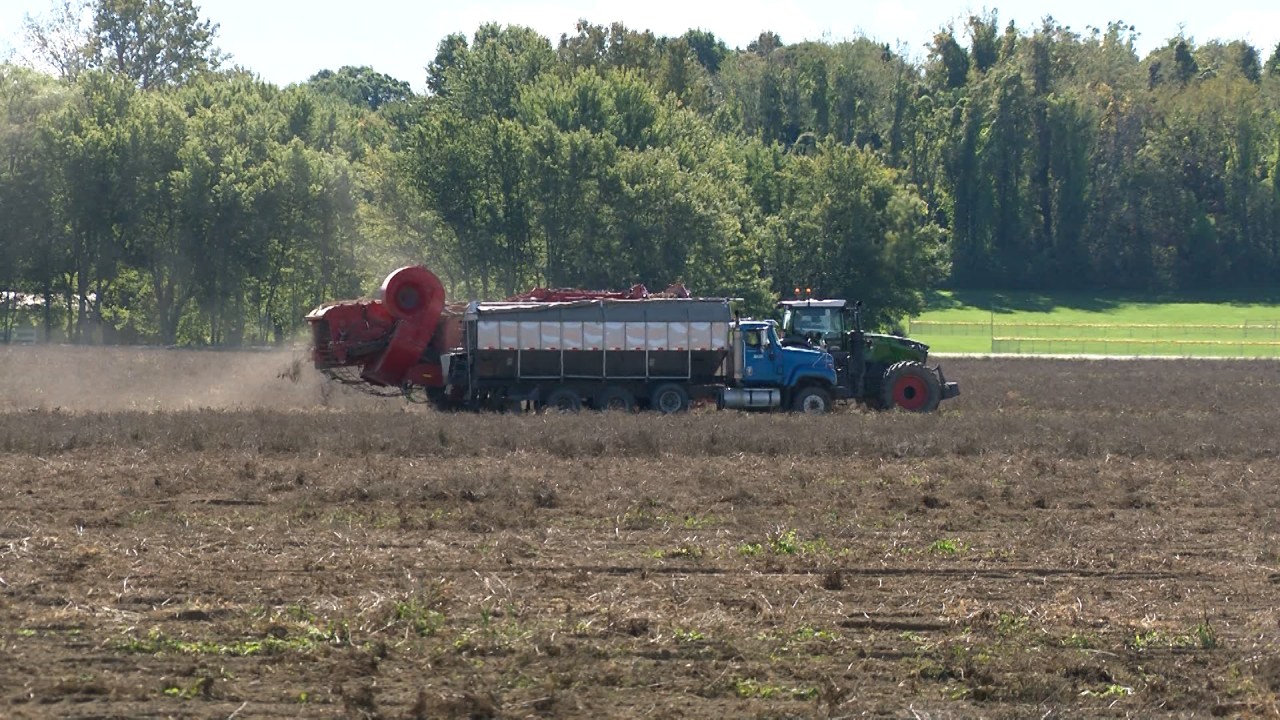 Troyer Farms potatoes prosper on acres intended for industrial park