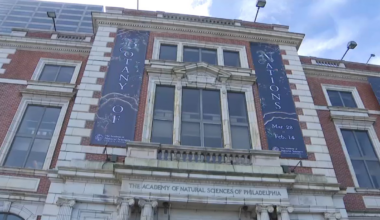 Drexel: No formal offer received for Academy of Natural Sciences – NBC10 Philadelphia