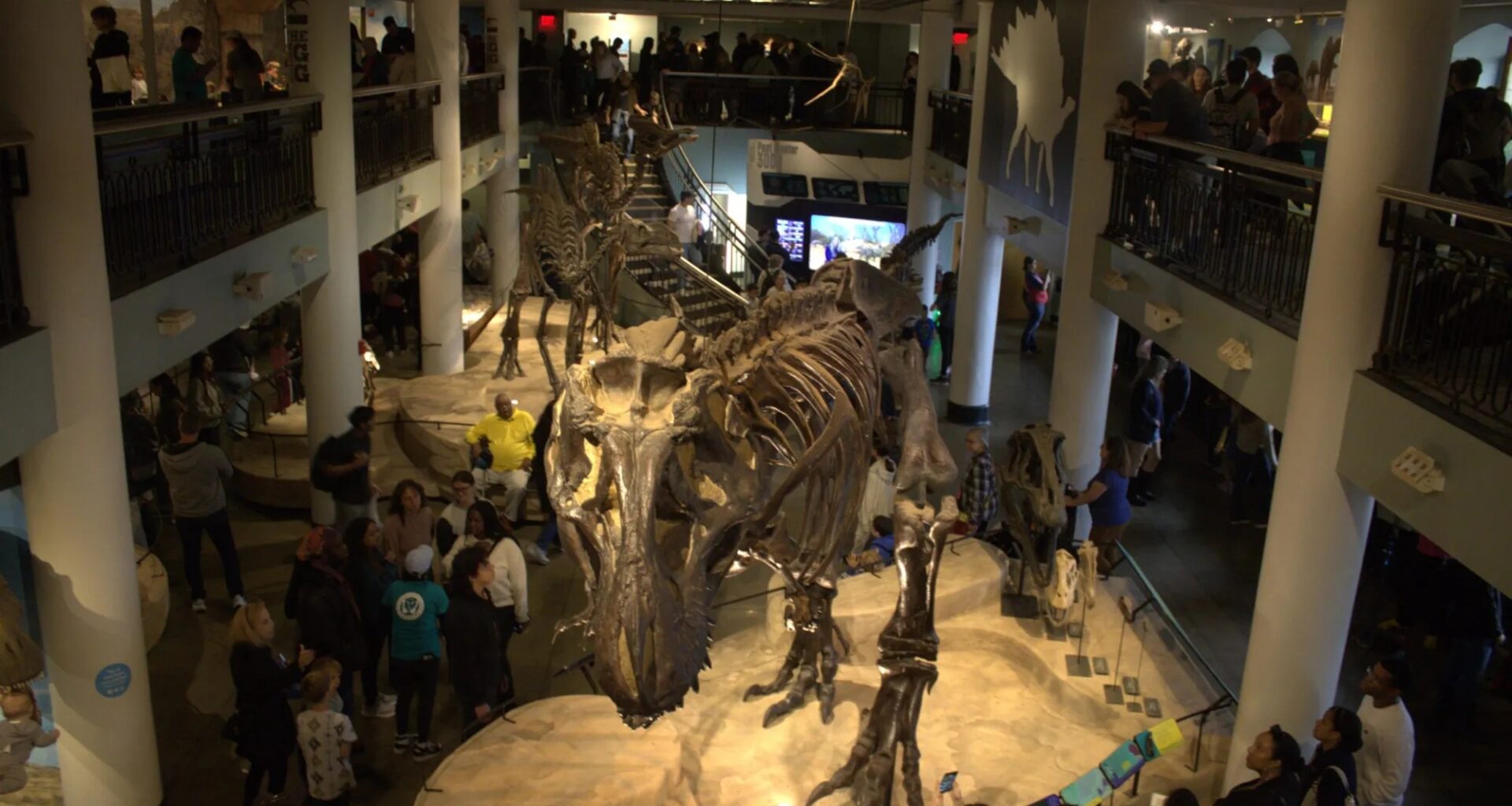 Academy of Natural Sciences staff speak out on closure