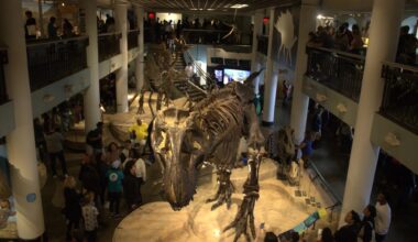 Academy of Natural Sciences staff speak out on closure
