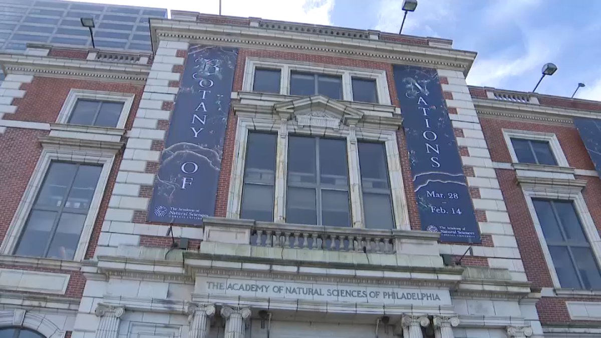 Drexel: No formal offer received for Academy of Natural Sciences – NBC10 Philadelphia