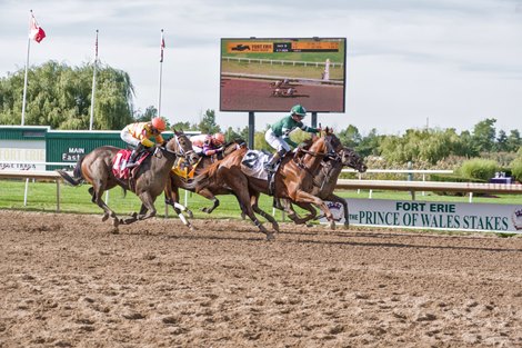 Brachetto, Military Time Meet Again in Ontario Derby