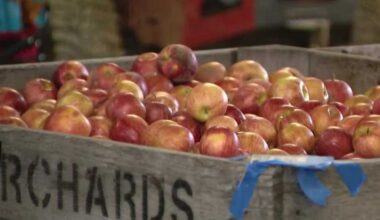 Delmont Apple 'N Arts Festival returns in Pennsylvania