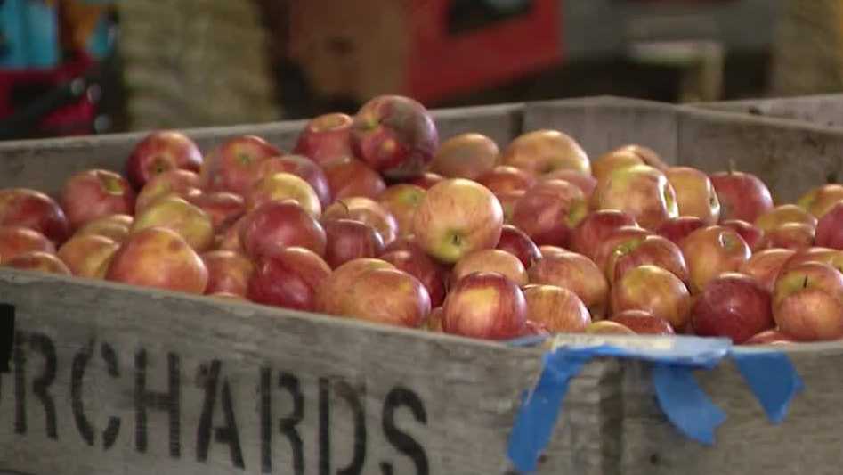 Delmont Apple 'N Arts Festival returns in Pennsylvania
