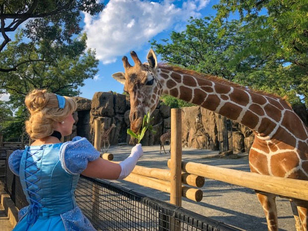 There will be costumes and animal fun at the Philadelphia Zoo's Boo at the Zoo. (Photo courtesy of Boo at the Zoo).