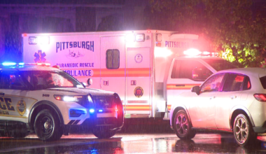 Pedestrian struck in Greenfield overnight