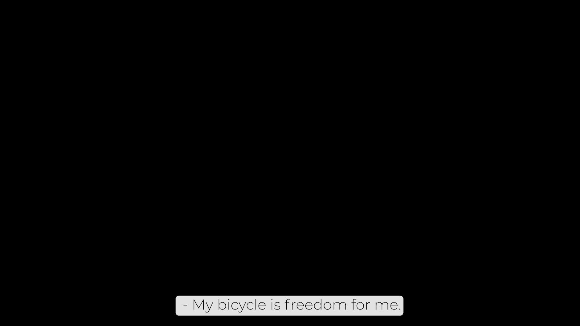 Steve's Bike Ride