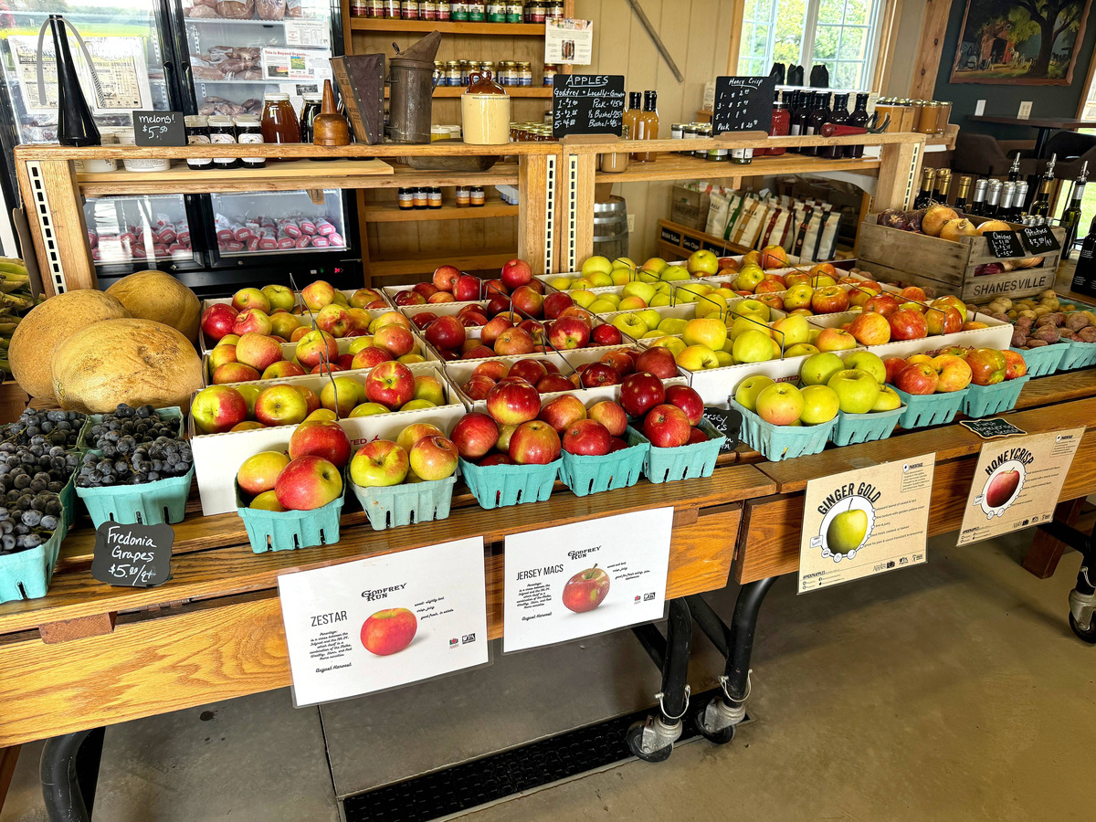 Sure signs of the beginning of fall include fresh apples, such as Zestar, Jersey Macs, Ginger Golds and Honeycrisps, at Godfrey Run Farm in Lake City.