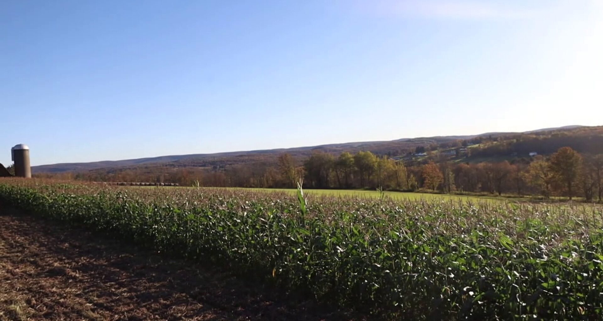Growing season to likely end this weekend