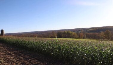 Growing season to likely end this weekend