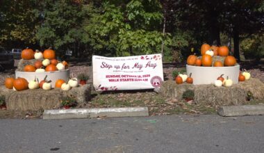 Historic Nay Aug Park holds community event of recognition