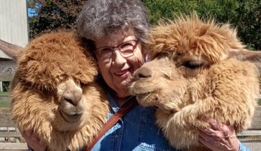 Heritage of Green Hills residents visit Eastland Alpacas