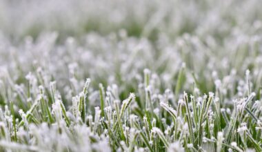 1st taste of cold weather could bring frost to Pittsburgh Sunday
