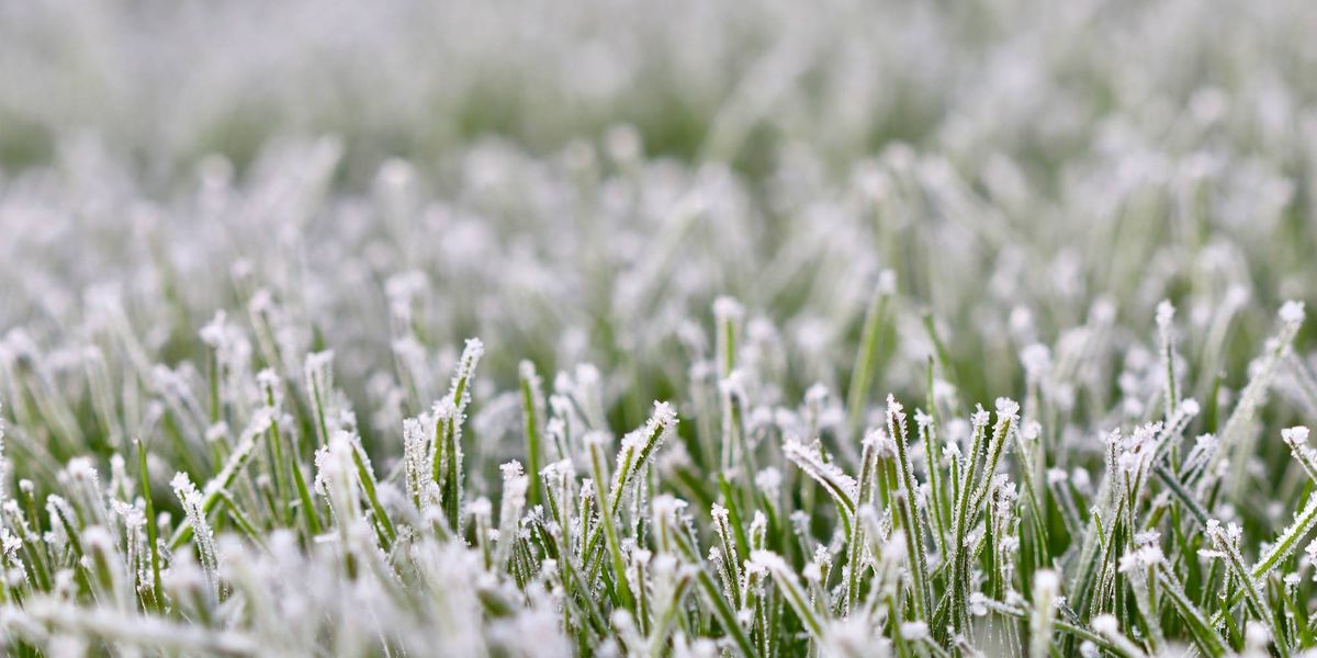 1st taste of cold weather could bring frost to Pittsburgh Sunday