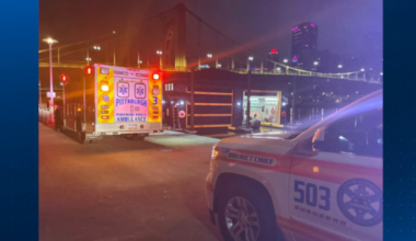 Bystander uses tree branch to help rescue person in river near Roberto Clemente Bridge
