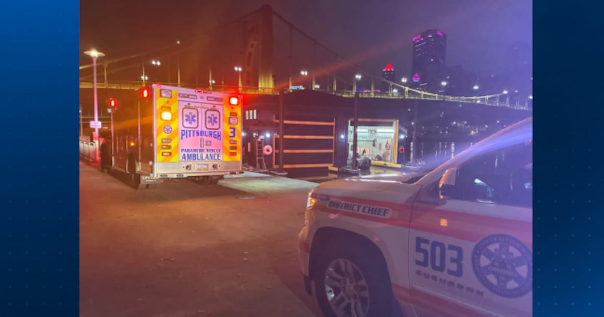 Bystander uses tree branch to help rescue person in river near Roberto Clemente Bridge