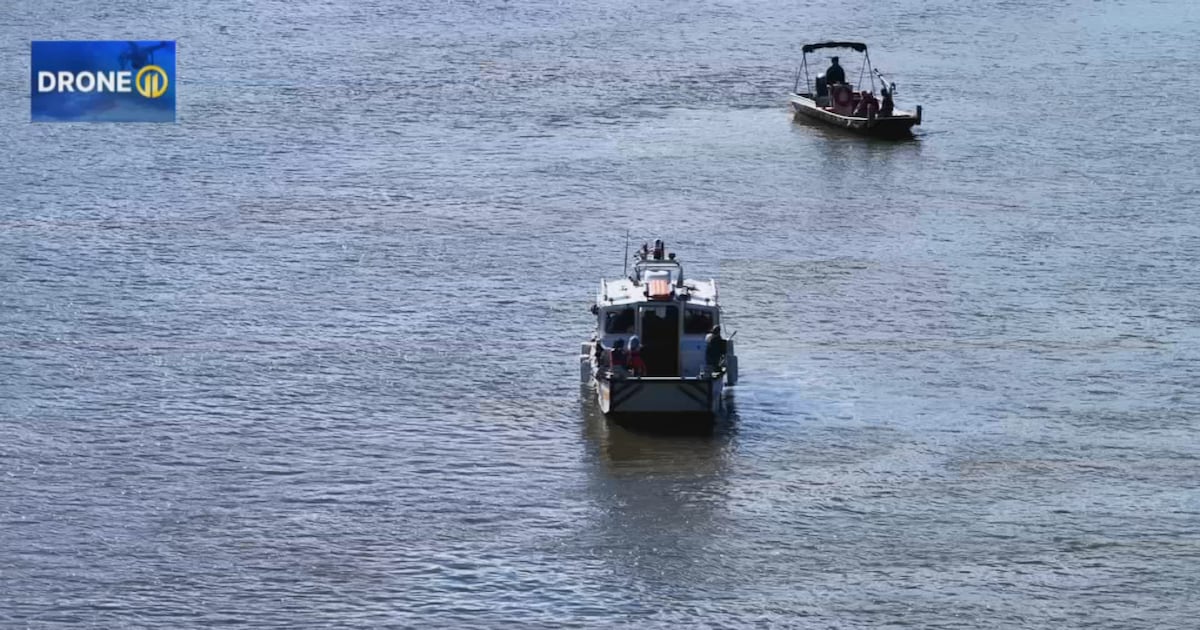PHOTOS: Search crews scour Allegheny River for pelicans that escaped Pittsburgh Zoo – WPXI