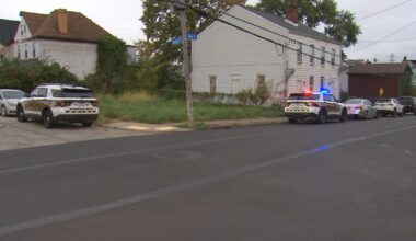 Woman stabbed multiple times in Pittsburgh’s Esplen neighborhood, suspect in custody