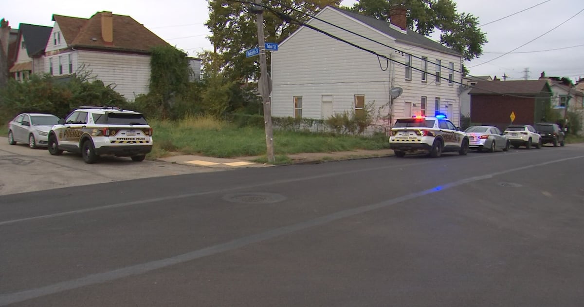 Woman stabbed multiple times in Pittsburgh’s Esplen neighborhood, suspect in custody