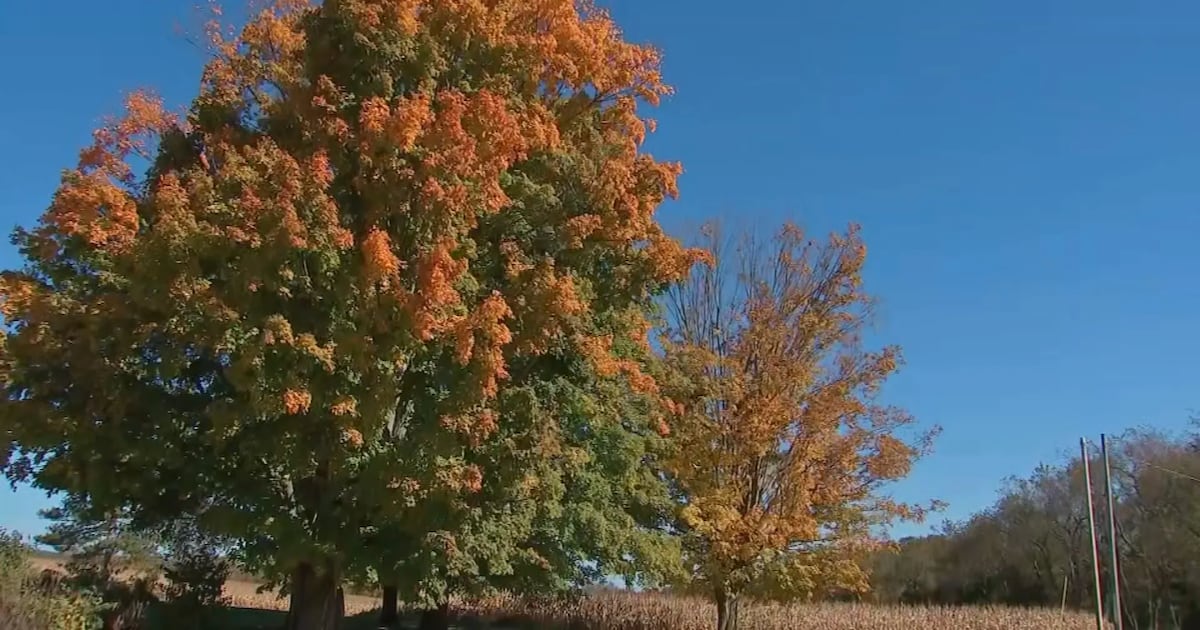 Seasonal temperatures move into Pittsburgh area in time for fall festivals