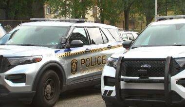 11 Investigates: Pittsburgh police chief gathering details on controversial use of force arrests