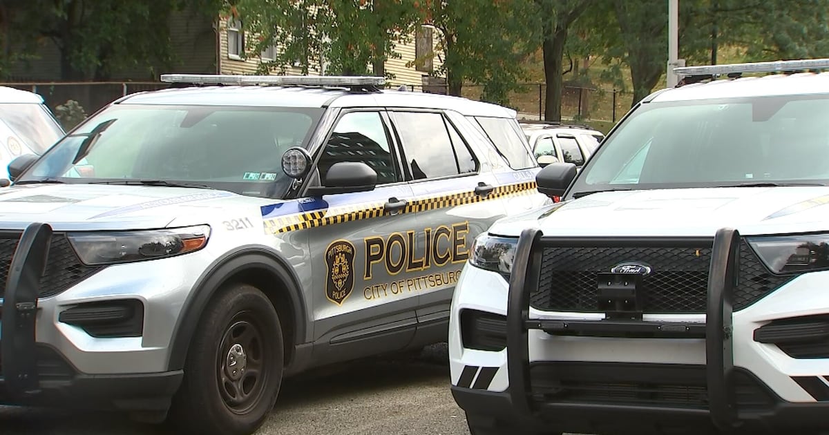 11 Investigates: Pittsburgh police chief gathering details on controversial use of force arrests